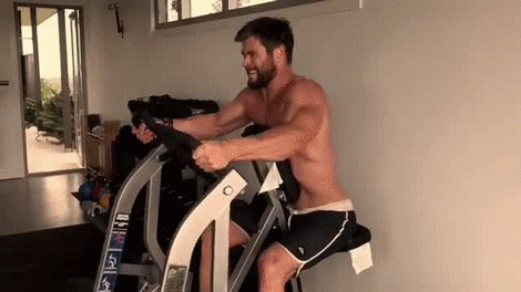 x-fits-y:  That man manages to put him on a harness and made him walk like a dog…