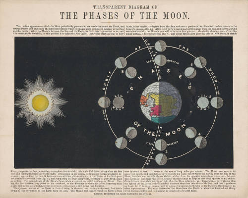 nevver:  Circling the Sun, John Philipps Emslie