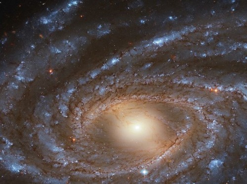 NGC 2336, Cosmic Eye