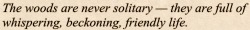 relentless longing for the gothic and grotesque