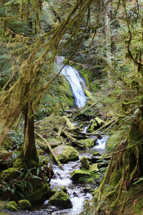 bright-witch: Marymere ◈ Pacific Northwest photography by Michelle N.W. ◈ ◈ Print Shop ◈ Blog ◈ Flic