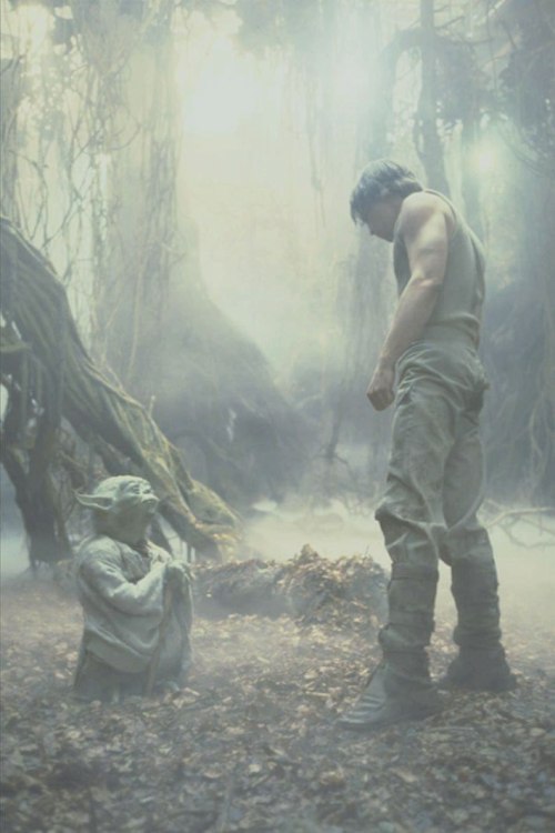 retrostarwarsstrikesback: Yoda and Luke Skywalker on Dagobah ready to learn to be a Jedi retrostarwa