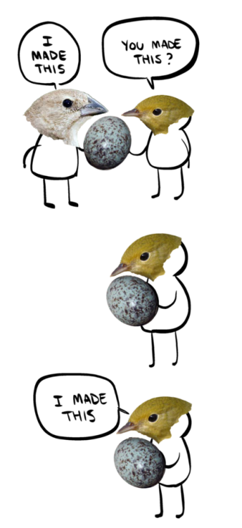snailkites: Nest parasitism Bird meme by anonymous friend of mine; original comic by Nedroid