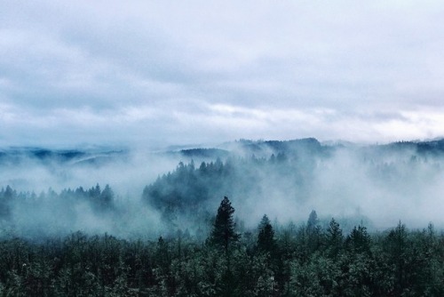 wbsloan: Good Morning, Eugene