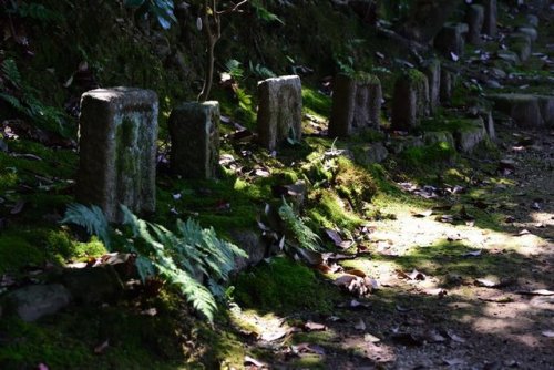 norisunorin:奈良県　白毫寺　Nara Byakugouji