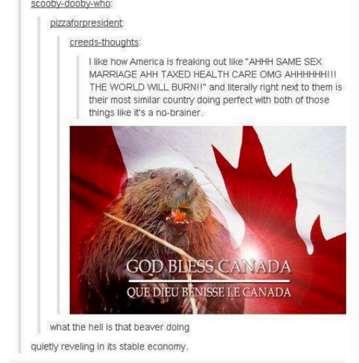 zanjeki:  malvalen:  lorrainelola:  My favorite Canadian posts. Happy Canada Day,