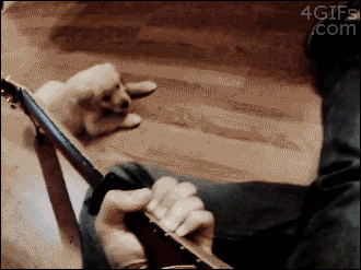 gif-guy:  http://gif-guy.tumblr.com/ 