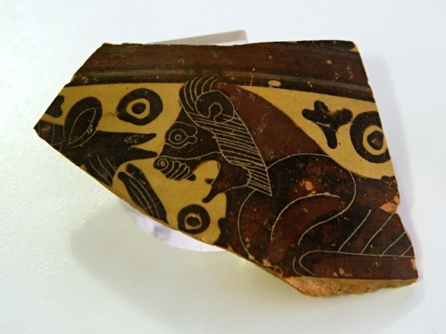 Fragment of an Early Corinthian oinochoe depicting a lion in profile.  Artist unknown; ca. 595-590 B