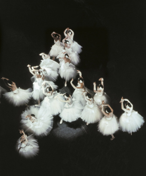 clonia: Hannes Kilian, photo of Swan lake, choreography John Cranko, Stuttgart Ballet, 1972. Cibachr