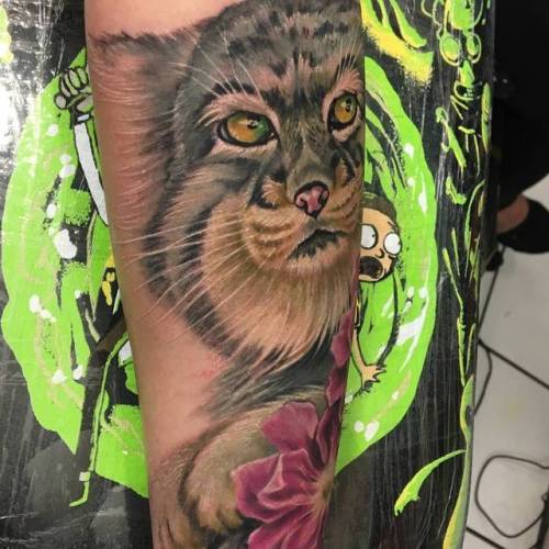 Freehand cat portrait cover up by artist Neil England @england508 at Empire Tattoo Boston! @empire_