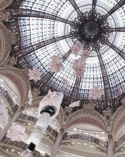 vivalcli:Galerie Lafayette, Paris, France | Anastasia Timina