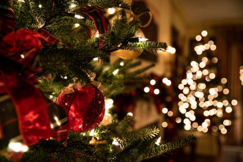 joyeuxno-el:  𝒜 𝑀𝑒𝓇𝓇𝓎 𝐿𝒾𝓉𝓉𝓁𝑒 𝒞𝒽𝓇𝒾𝓈𝓉𝓂𝒶𝓈 𝐵𝓁𝑜𝑔🎁🎄✨