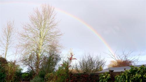 This Mornings Garden.12-05-20 Greeted by a rainbow perfectly framing the back garden. Now where is t