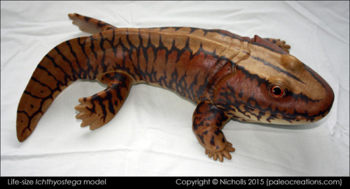 paleocreations:Here is my new life-size model of #Ichthyostega for #Muse, Italy.Bob Nicholls: paleoc