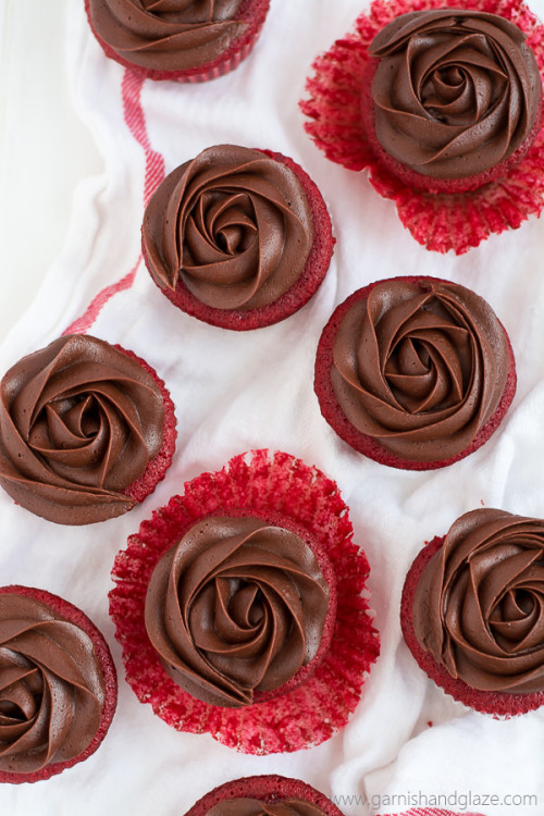 Porn ugly–cupcakes:    chocolate rose red velvet photos