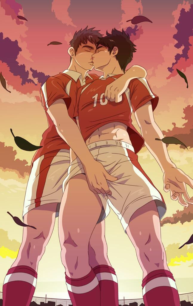 Bara-IVS