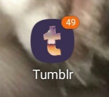 Tumblr media