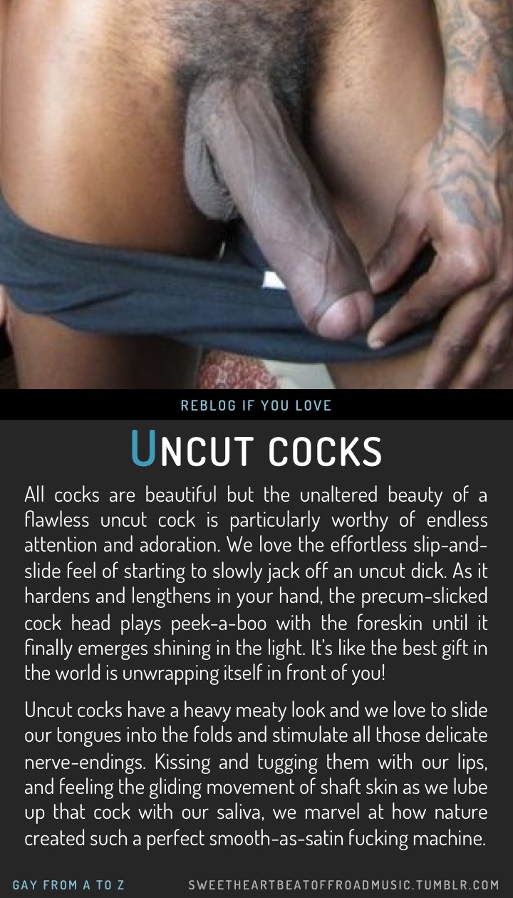 sweetheartbeatoffroadmusic:  UNCUT COCKS. More in this series: Gay From A to Z or