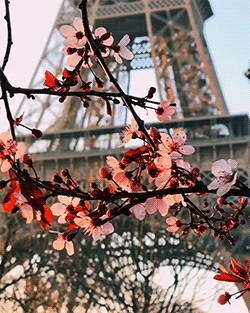 gabytaangeles: París … 