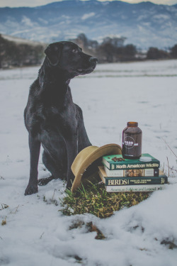 thecountryfucker:  My friend Eric has a great small business based out of Ashland, Ore.  Take a minute and support a great dude with a great company and get some fantastic fucking coffee.  Support small local businesses and cool people.  harvestofthought: