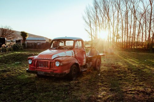 photosbyandrew:  Big Red