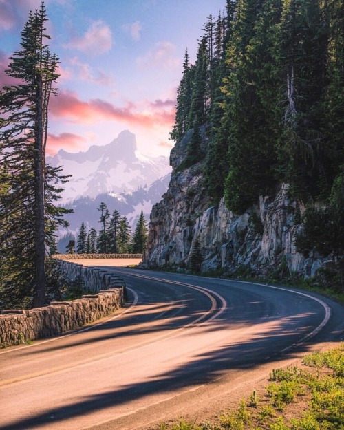 utwo:  Mount Ranier National Park © bart blachnio