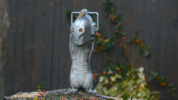 archiemcphee:  The world may not be ready for the likes of villainous Cybersquirrels, but this Cyberman squirrel feeder is completely awesome. It would look fantastic hanging beside our Horse Head Squirrel Feeder and Big Head Squirrel Feeder.  oh no XD