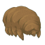 multiple-tardigrades