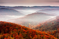 tulipnight:  Autumn Ocean by Evgeni Dinev