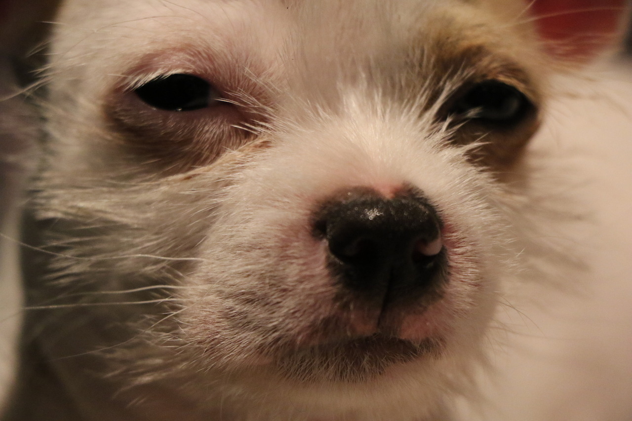 i-flood-my-basement:On the first page of Bo Burnham’s website it asks if you are