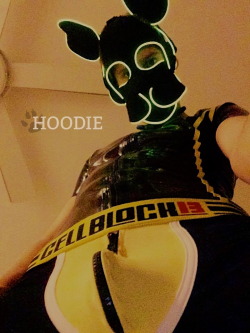 puphoodie:  Anybody need to quench their thirst?Find more on Twitter!