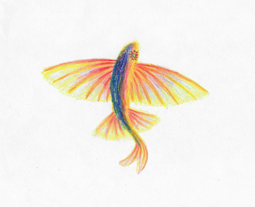 girl help im escaping from predators #more sad lamp animation lets GOOO  #this shit is fun yo #art#flying fish#animation#traditional animation#colored pencil #lol realizing it looks like hes dancing  #tried to animate the way these guys propel themselves w their tail on the suface of the water while  #gliding above it