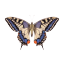 daniardor
