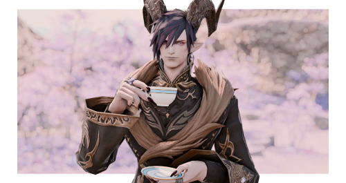 paid for Solus’s tea drinking license so he can do this legally in game