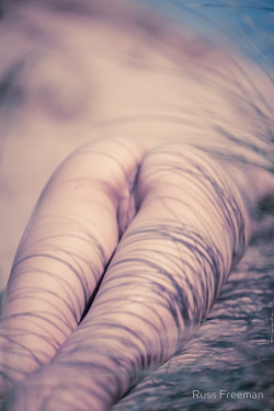 russfreeman: Beach bum tiger stripes. Our first visit together to a beach I’d been to many times in Wales. It was a glorious day with hardly a soul on the beach. I dream of this day… 