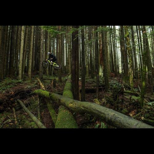 chromagbikes:  Tingy on the Shore: @nicktingren @rupskywalker #stylus