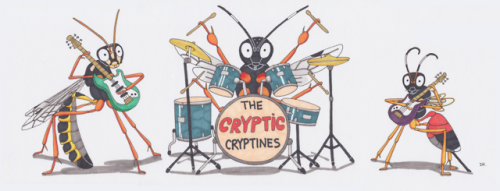 THE CRYPTIC CRYPTINES!