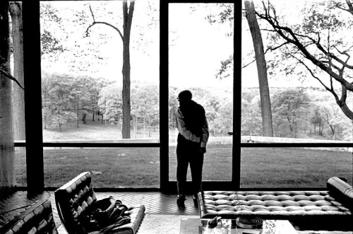 joeinct:Philip Johnson, Glass House, New Canaan, CT, Photo by Annie Lebovitz, 2000