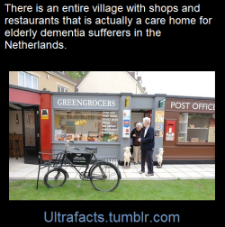 ultrafacts:    De Hogeweyk part of nursing