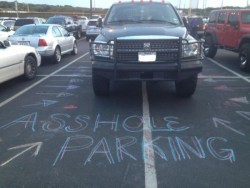 epicdoubletap:  lickystickypickyshe:  Parking is a challenging sport for some of us.  That last one… 