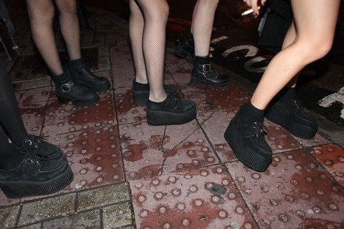 oh-colorful-pills:  artists-and-executioners:  deathbypussy:  ☾✞S☹ft Grunge/Disp☹sable✞☽