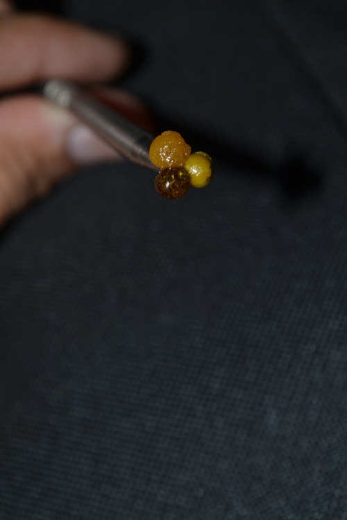 mauiw0wie:  Larry OG shatter x Humbolt OG errrl x Flav earwax