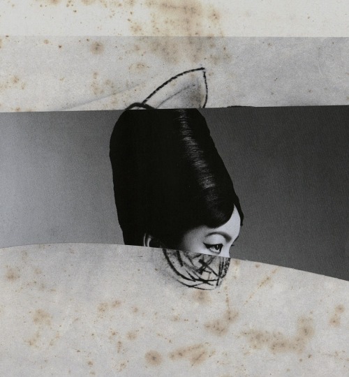 blueblackdream:  Beatrice squitti