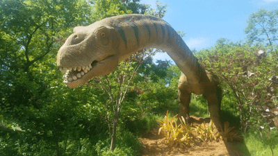 dinosaur adventure 3d 1999 voice actor parasaurolophus