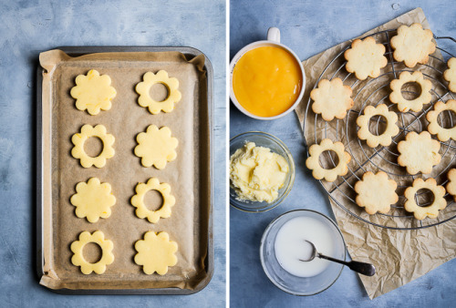 sweetoothgirl: Daisy Lemon Curd Sandwich Cookies 