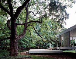 scandinaviancollectors:  The Farnsworth House by Ludwig Mies van der Rohe, Illinois, 1945-1951. Photograph by Carol M. Highsmith. / Blogspot