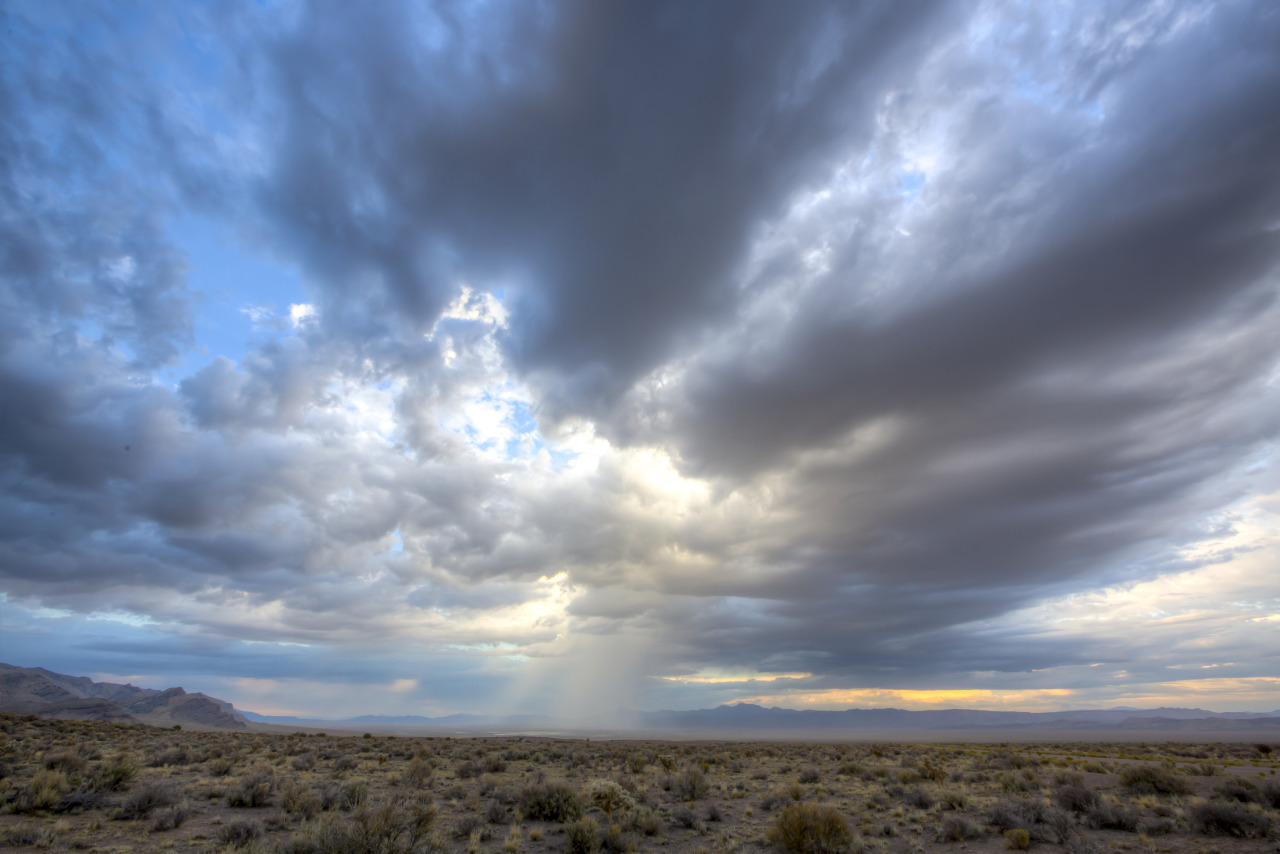 mypubliclands:  #mypubliclandsroadtrip Recap Continues with BLM Nevada! From striking