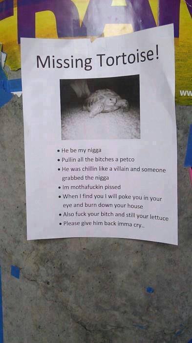lmao….  Id cry tears of joy if I saw this in real life.