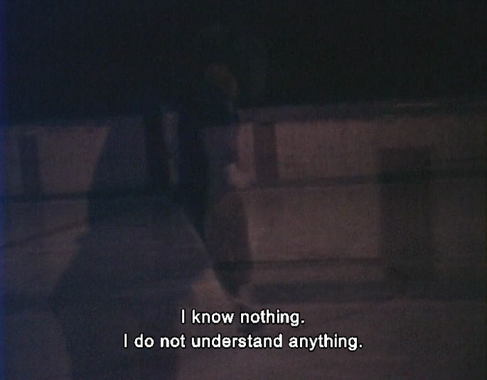 lostinpersona:  As I Was Moving Ahead Occasionally I Saw Brief Glimpses of Beauty,