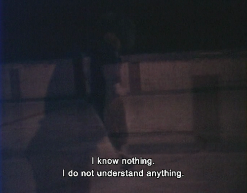 lostinpersona: As I Was Moving Ahead Occasionally I Saw Brief Glimpses of Beauty, Jonas Mekas (2000)